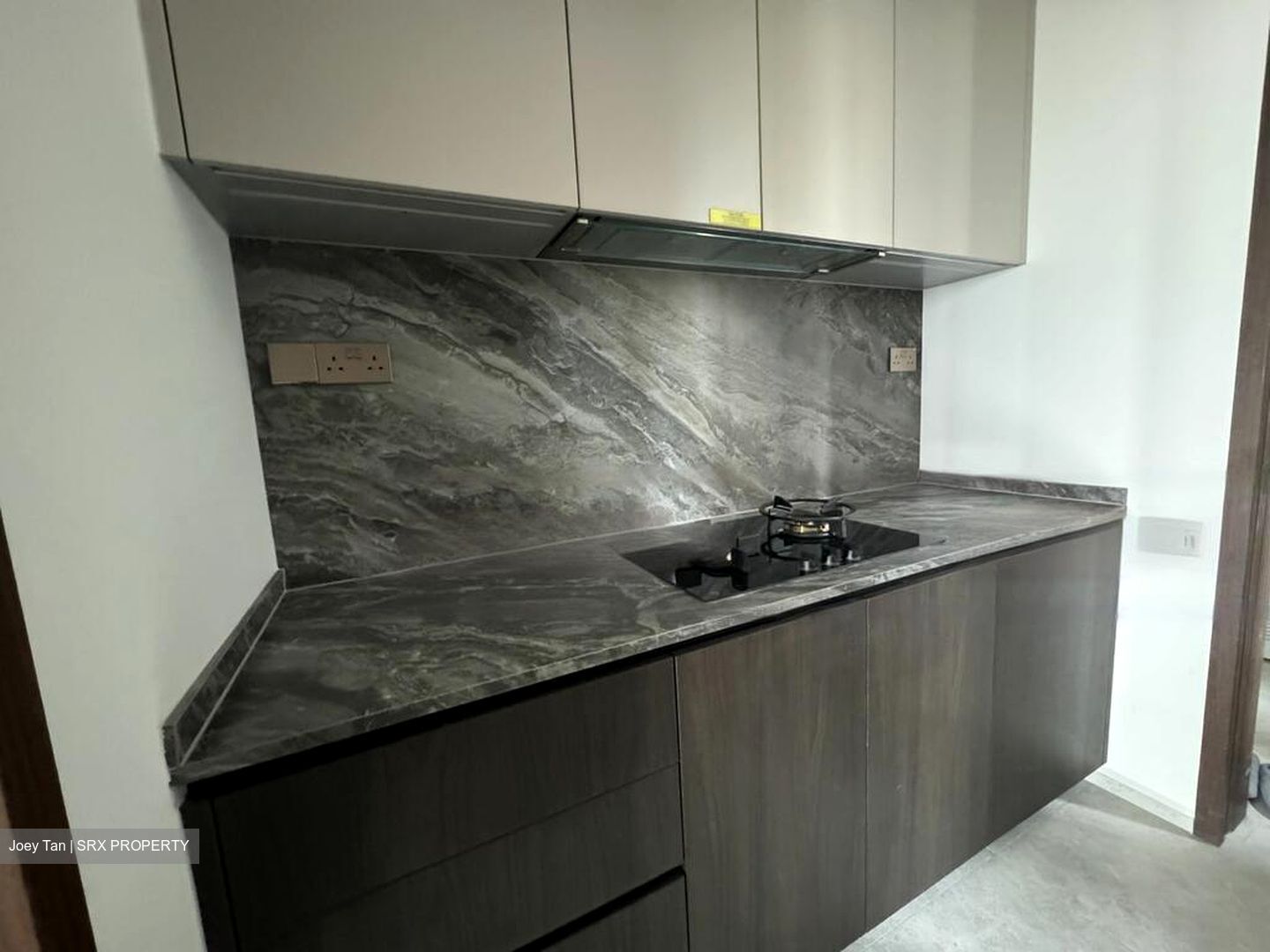 Leedon Green (D10), Condominium #421524151